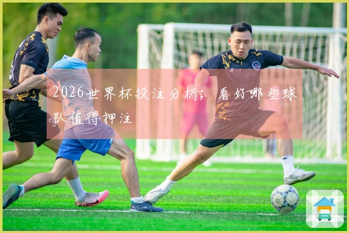 2026世界杯投注分析：看好哪些球队值得押注