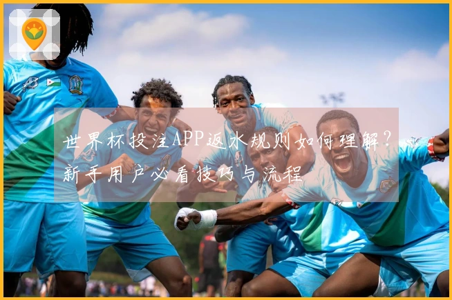 世界杯投注APP返水规则如何理解？新手用户必看技巧与流程