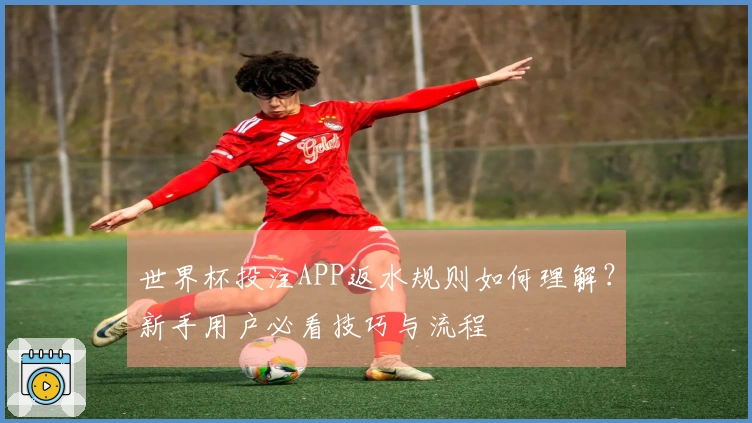 世界杯投注APP返水规则如何理解？新手用户必看技巧与流程