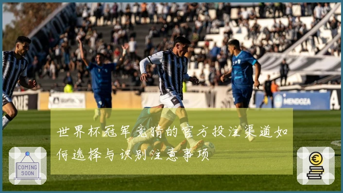 世界杯冠军竞猜的官方投注渠道如何选择与识别注意事项