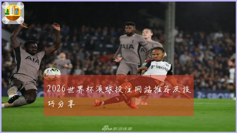 2026世界杯滚球投注网站推荐及技巧分享